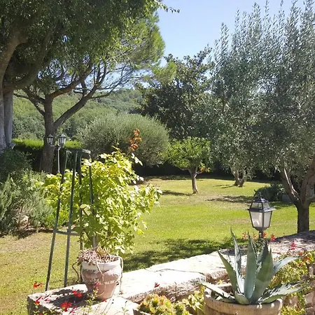 Les Chenes Verts * Cornillon